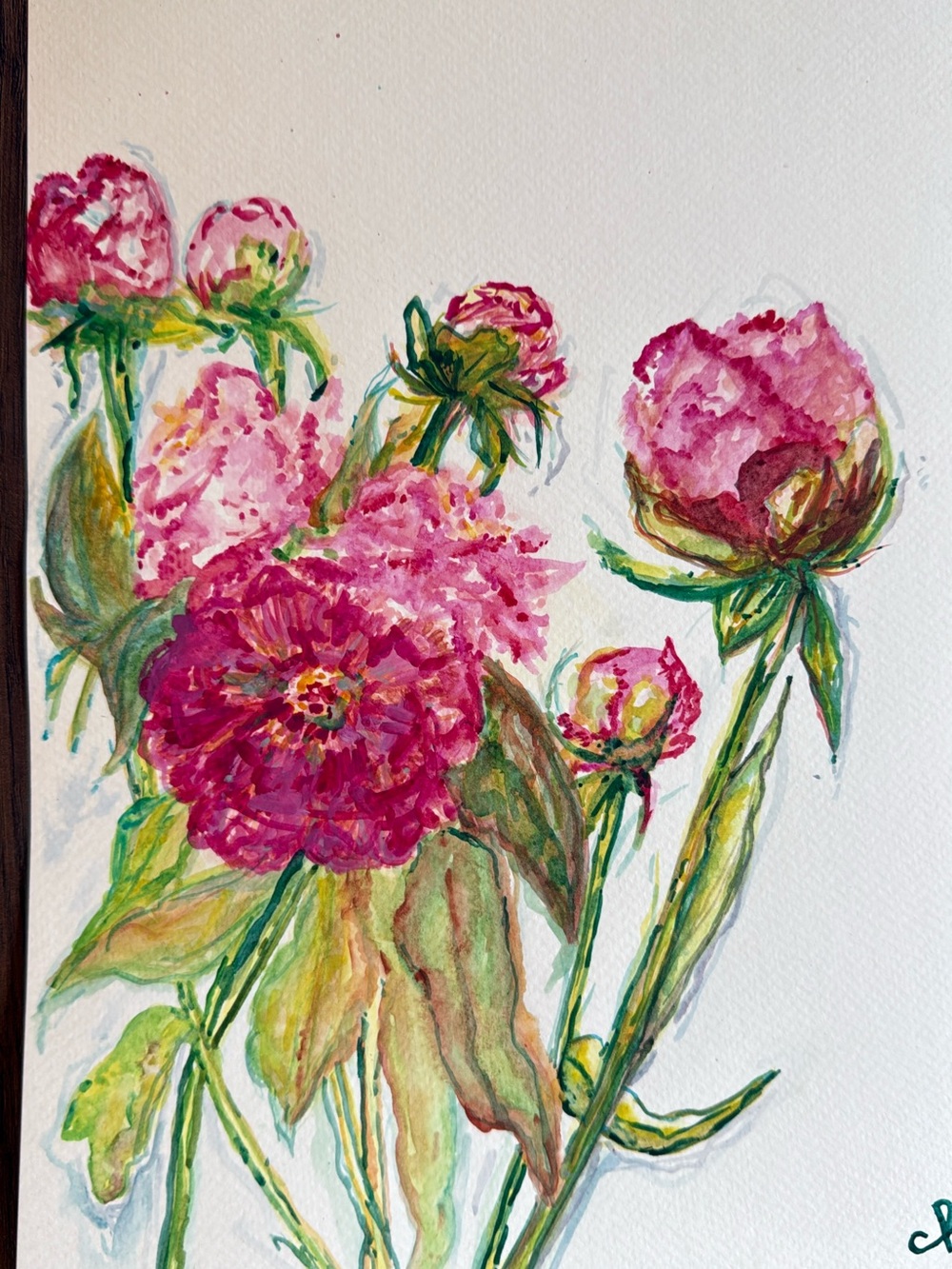 Original Art - Pink Peony Botanical Watercolor